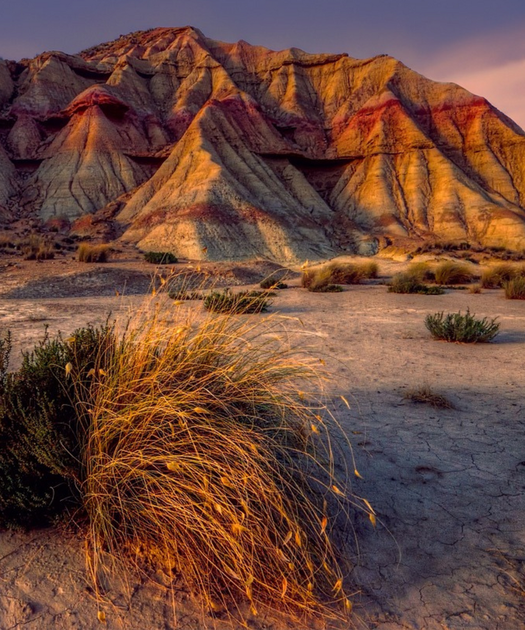 Find Your Nature Vibe: Which Allbirds Pair Matches Your Outdoor Style?